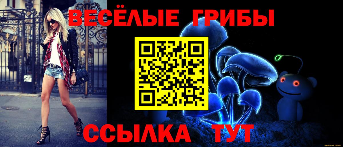 Псилоцибиновые грибы GOLDEN TEACHER Белая Калитва