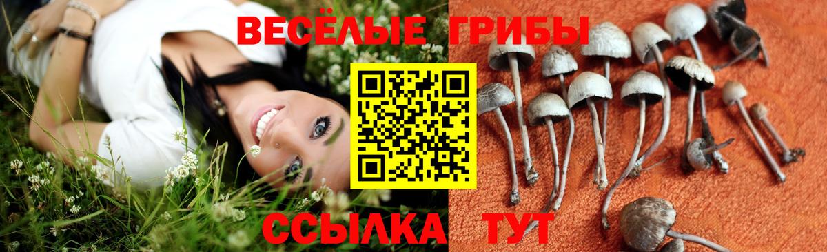 Псилоцибиновые грибы ЛСД  Галлюциногенные грибы Cubensis  Белая Калитва  купить  сайты  Вход с VPN 